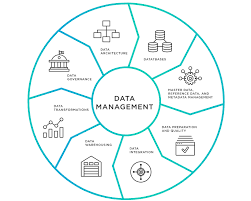 data management tools