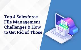 salesforce file management