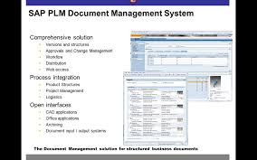 sap document management service