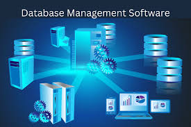 dms database management system